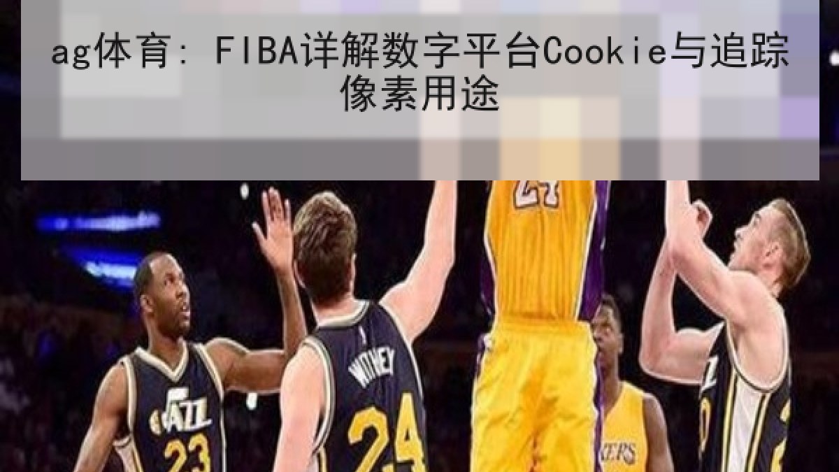 ag体育: FIBA详解数字平台Cookie与追踪像素用途
