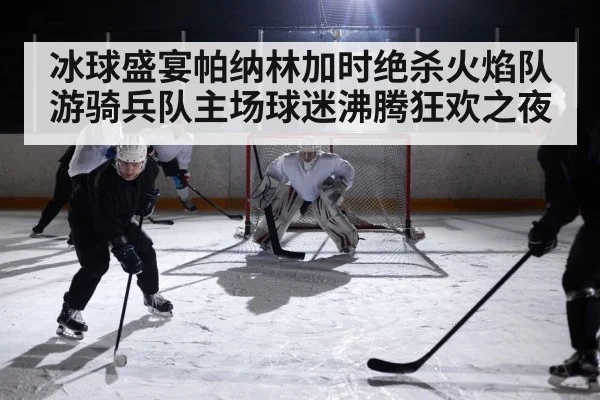 冰球盛宴帕纳林加时绝杀火焰队游骑兵队主场球迷沸腾狂欢之夜