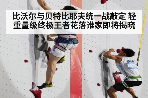 比沃尔与贝特比耶夫统一战敲定 轻重量级终极王者花落谁家即将揭晓